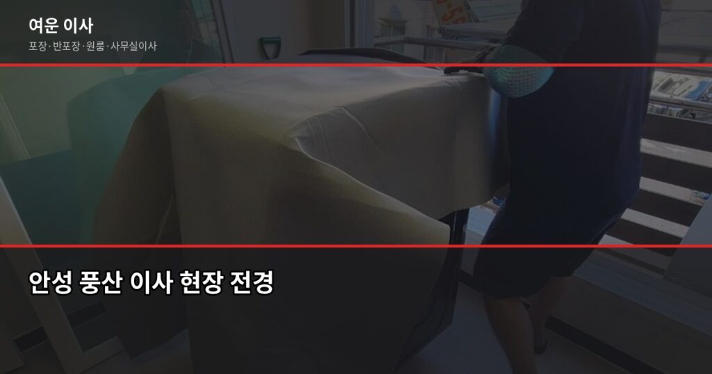 안성 풍산 이전 비용, 1톤·2.5톤 포장이사 견적 비교 - 안성 풍산 이사 현장 전경