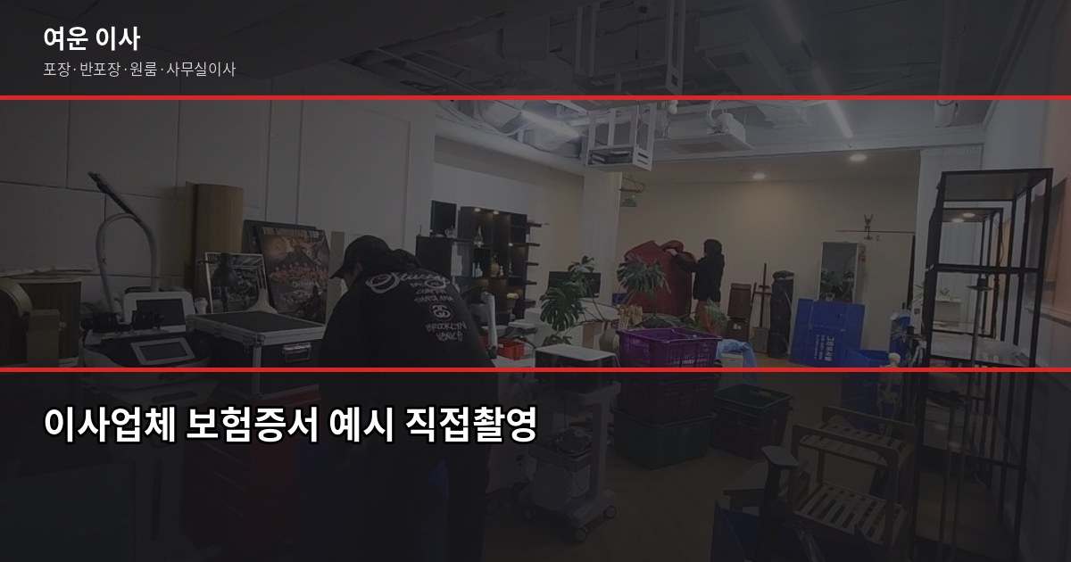 이사보험 되나요? 실제로 어디까지 보상되는지 확인해봤습니다 2