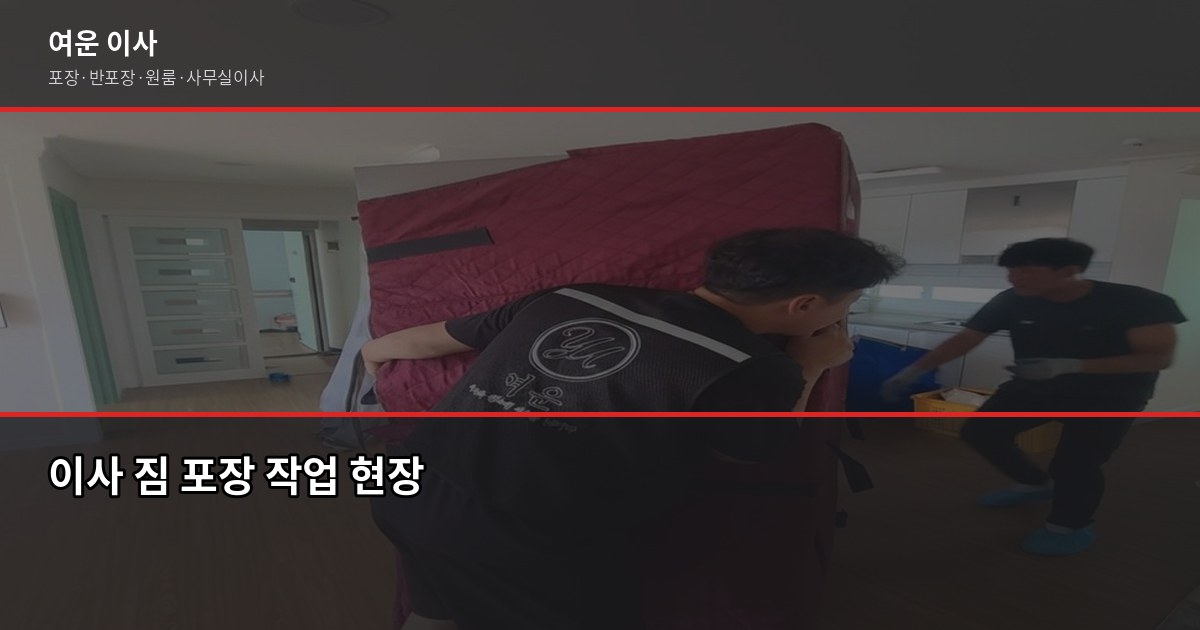 포장이사 vs 반포장이사 차이, 어떤 걸 선택해야 할까 2