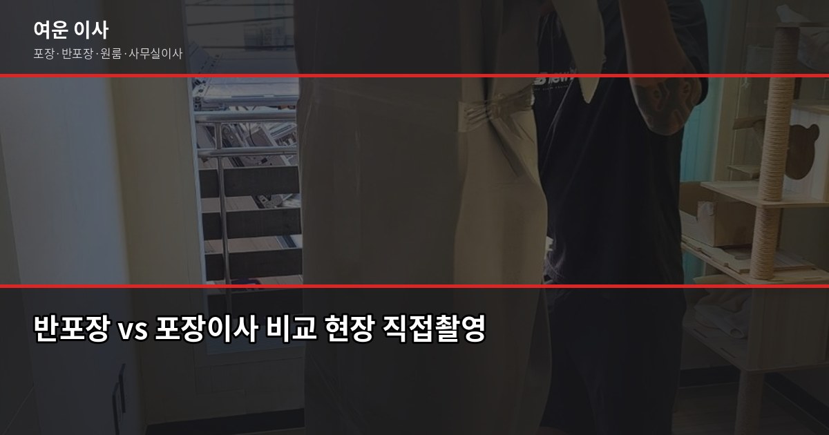 공항이전 이사 비용과 반포장·포장 선택 기준, 실제로 따져봤습니다 3