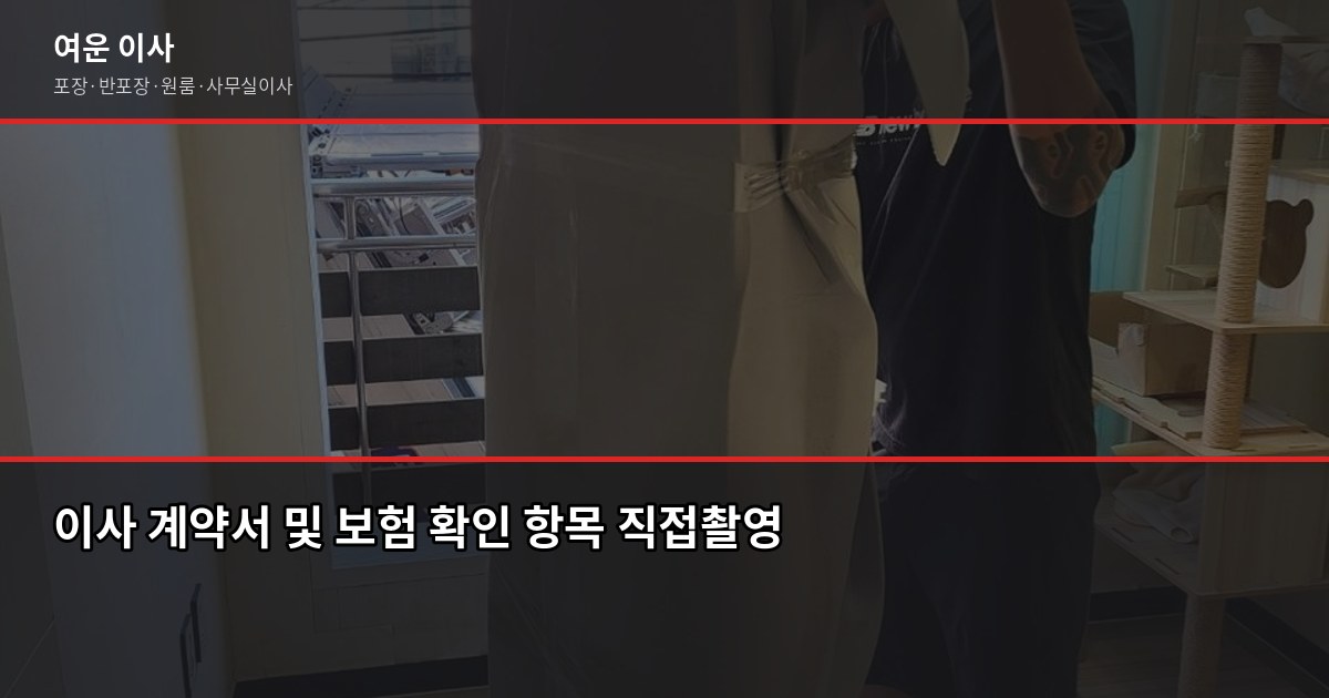 이사보험 되나요? 실제로 어디까지 보상되는지 확인해봤습니다 6