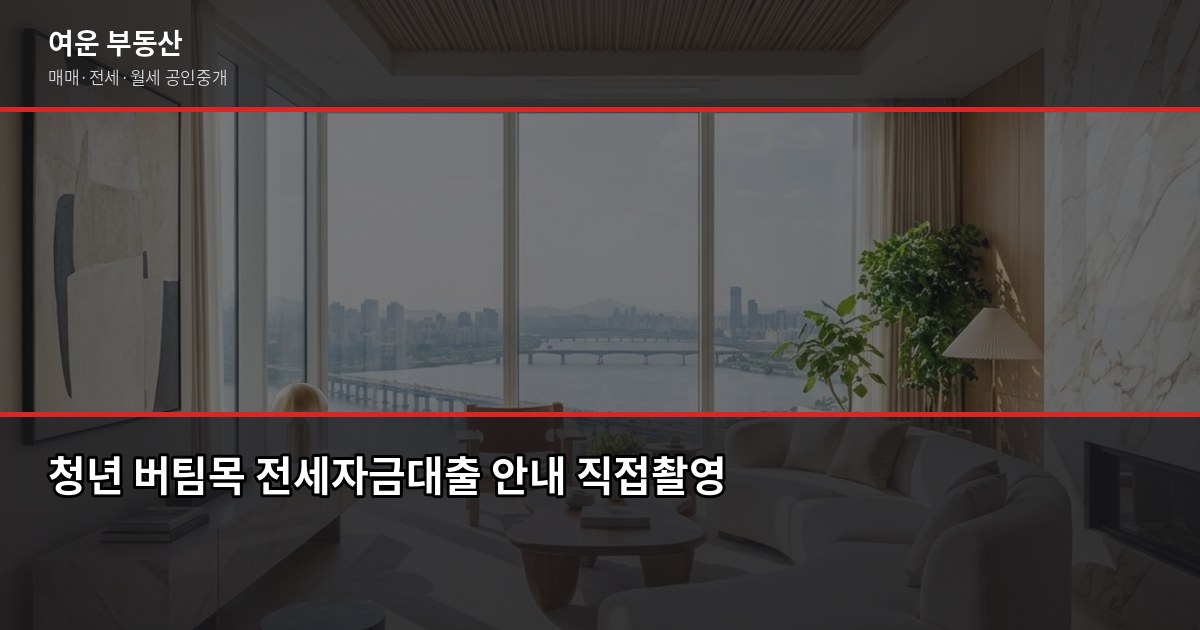 서울 청년주택 신청 조건과 절차, 처음이라면 이것부터 확인하세요 6