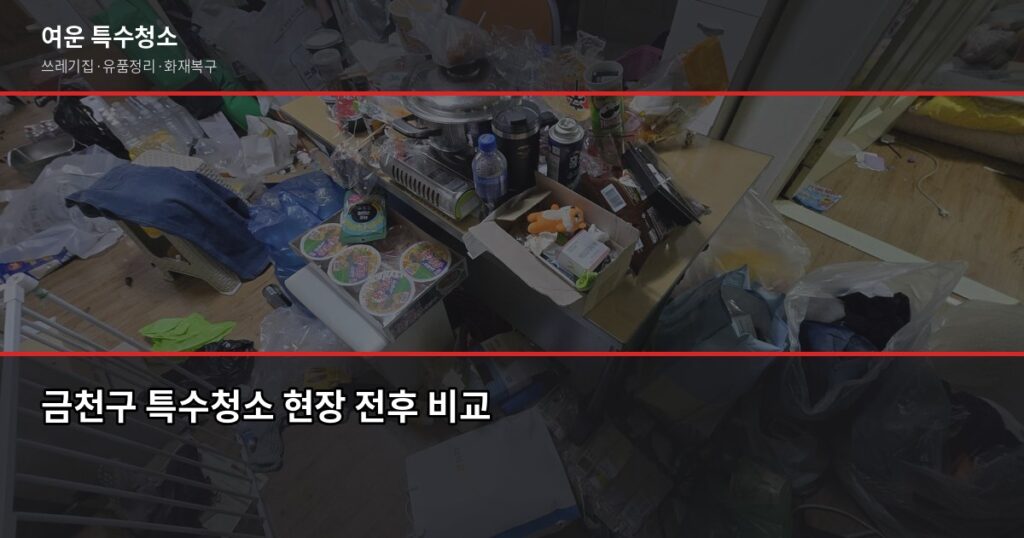금천구 특수청소 전화번호, 연락 전에 알아두면 좋은 것들 - 금천구 특수청소 현장 전후 비교