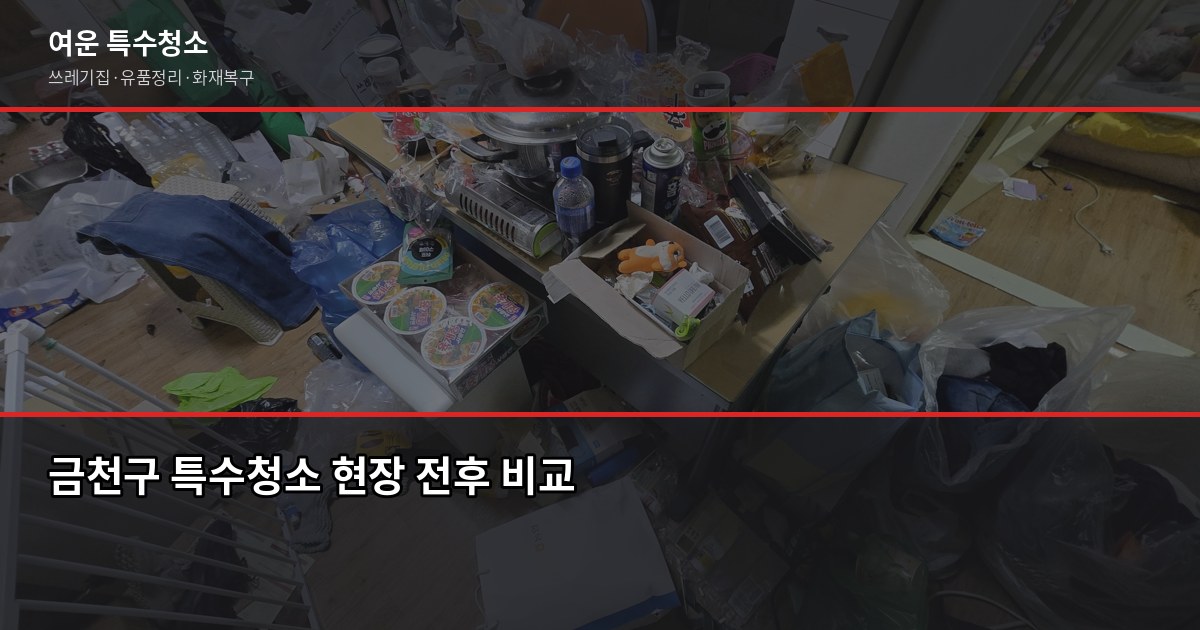금천구 특수청소 전화번호, 연락 전에 알아두면 좋은 것들 1