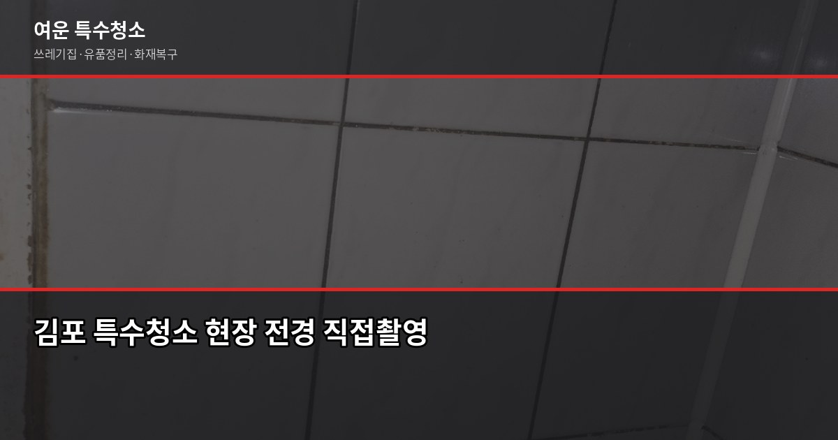 김포 특수청소, 쓰레기집·고독사·유품정리 비용과 진행 방법 1