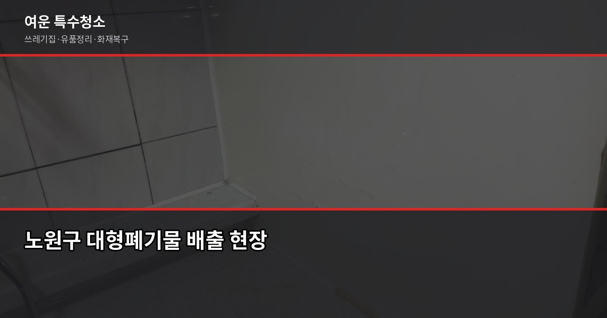 노원 폐기물 처리 방법, 대형폐기물부터 특수청소까지 1