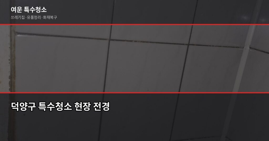 덕양구 특수청소 추천, 업체 고를 때 이것만 보면 됩니다 - 덕양구 특수청소 현장 전경