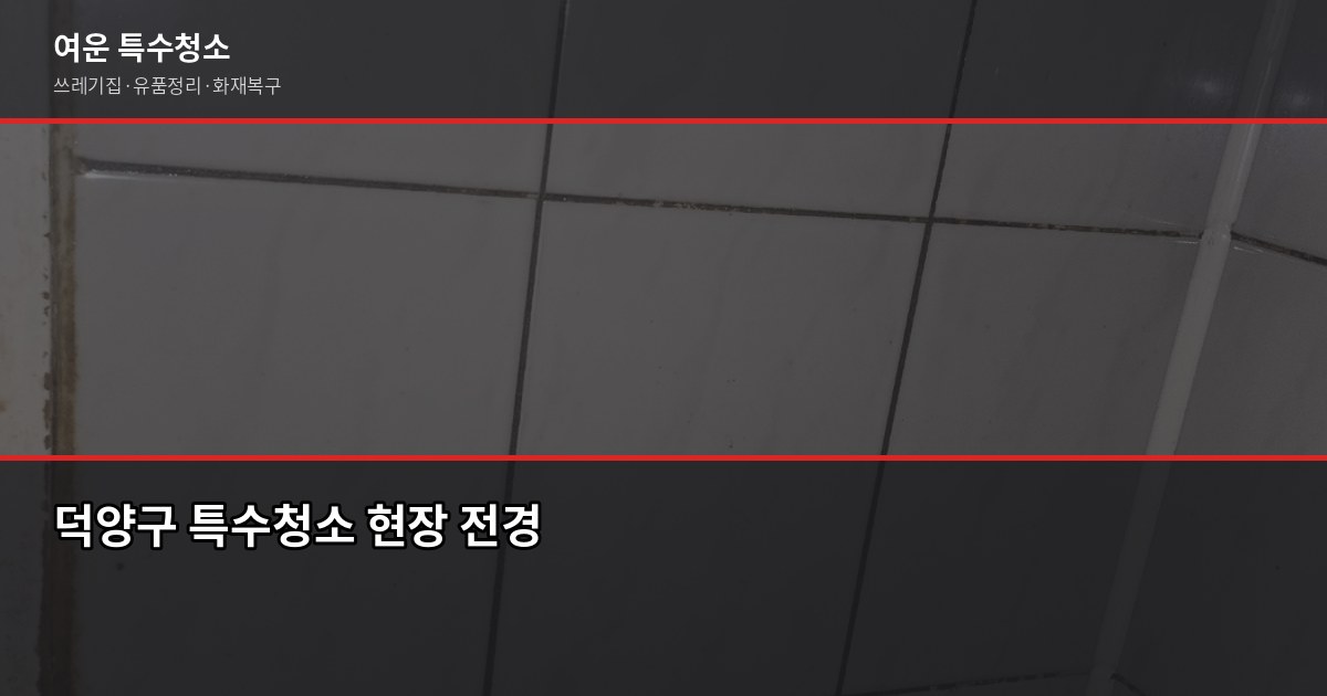 덕양구 특수청소 추천, 업체 고를 때 이것만 보면 됩니다 1