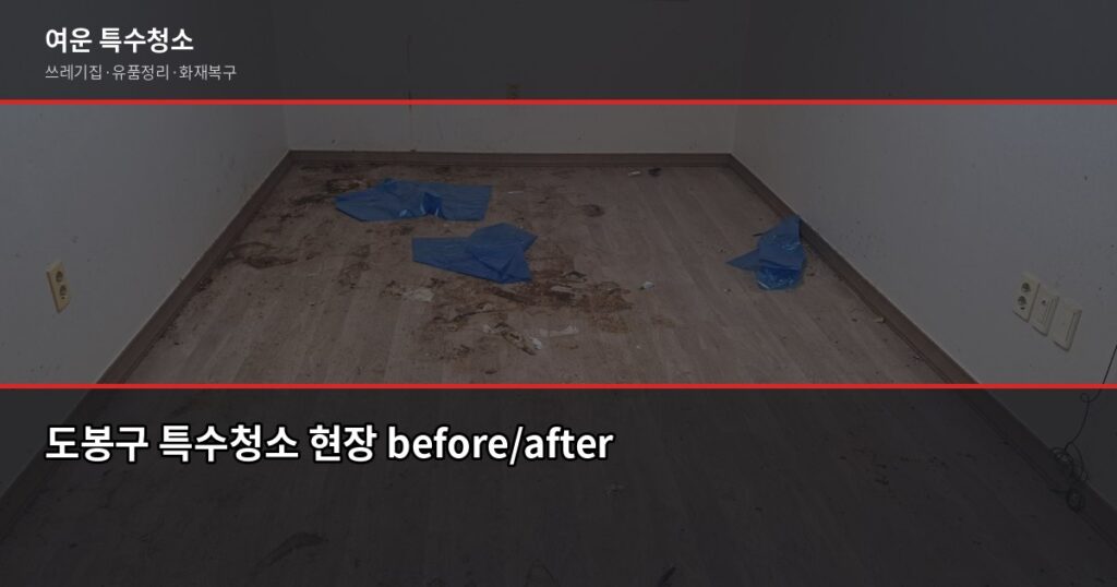 도봉구 특수청소 전화번호, 쓰레기집·고독사·유품정리 연락처 찾는 법 - 도봉구 특수청소 현장 before/after