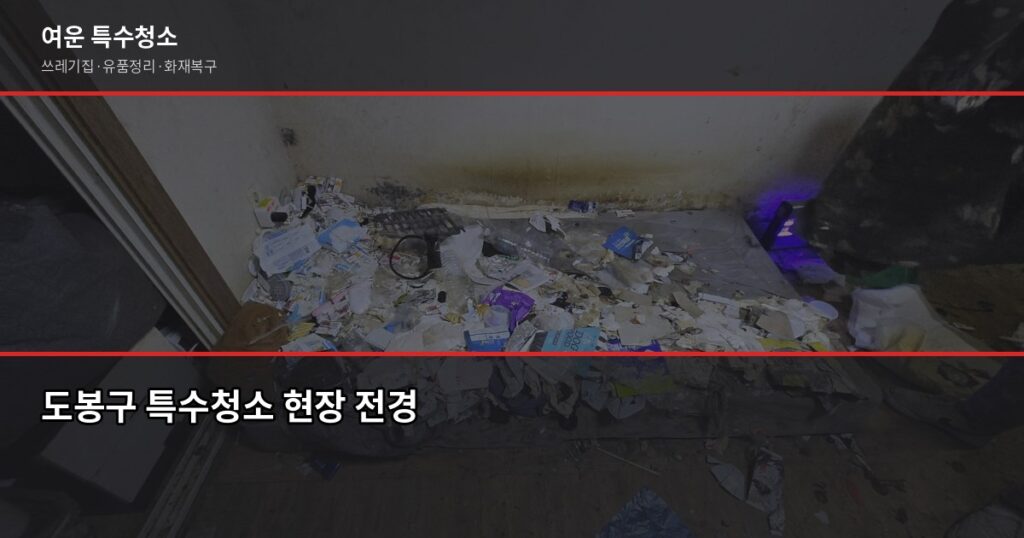 도봉구 특수청소 가격, 현장 보기 전에 알아야 할 것들 - 도봉구 특수청소 현장 전경