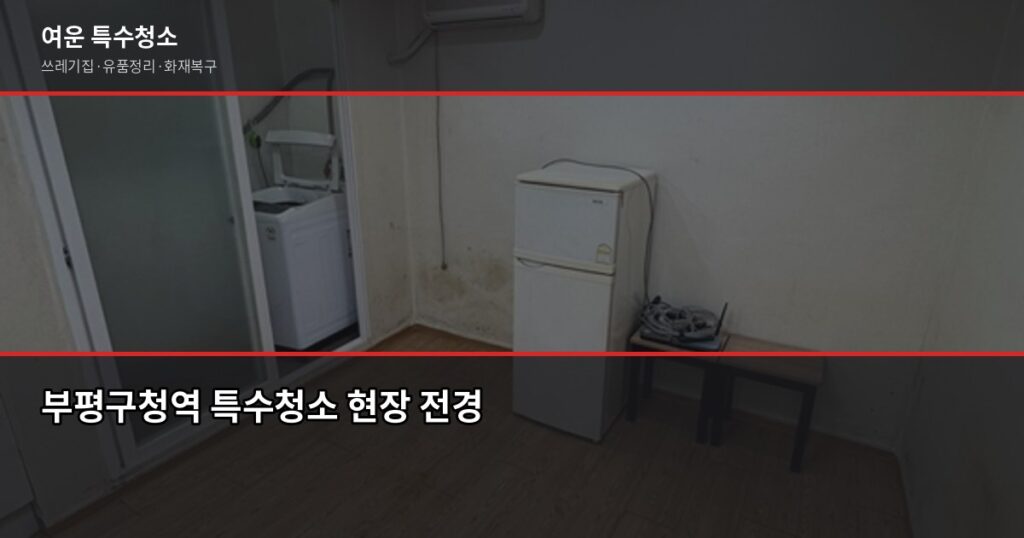 부평구청역 특수청소, 비용과 진행 과정 정리 - 부평구청역 특수청소 현장 전경