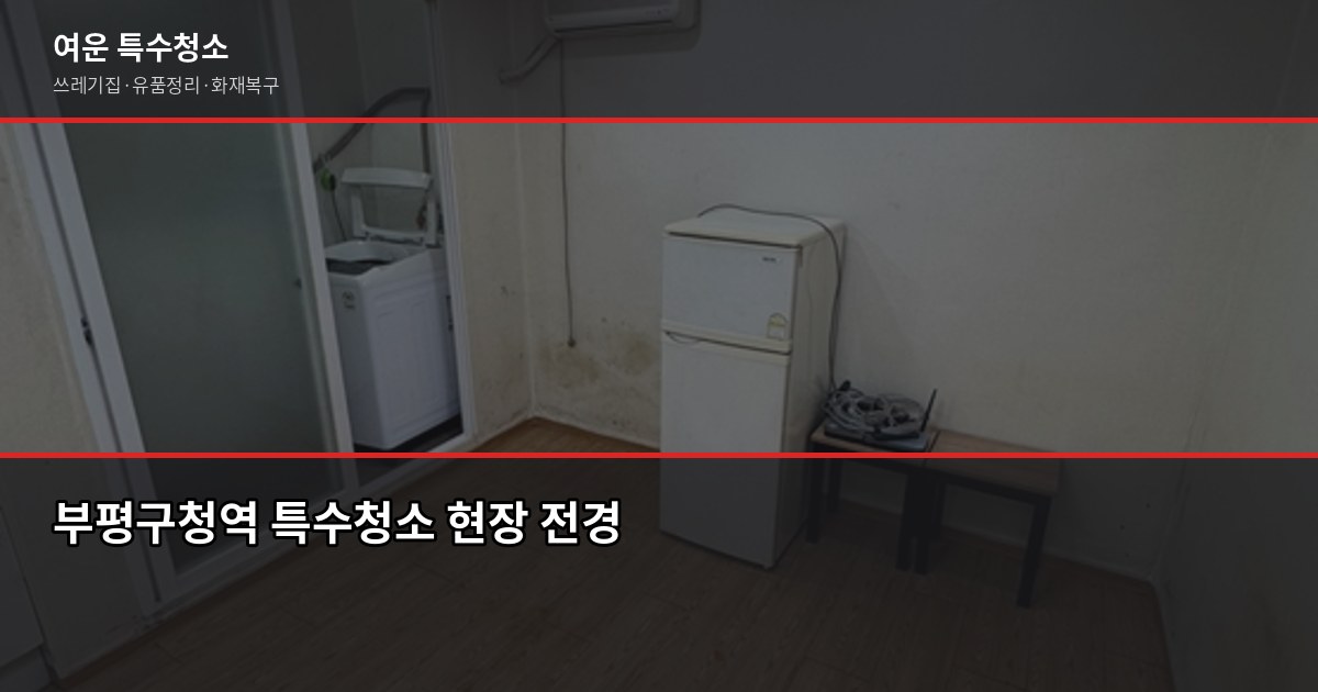 부평구청역 특수청소, 비용과 진행 과정 정리 1