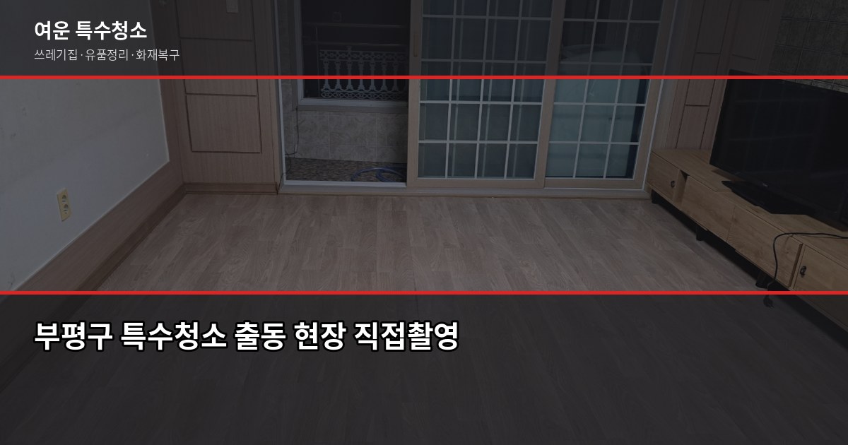 부평구 특수청소 전화번호, 긴급 상황에서 바로 쓰는 안내 1