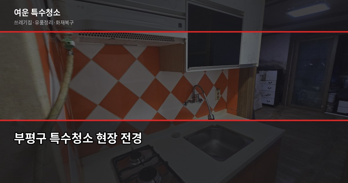 부평구 특수청소, 고독사·쓰레기집·유품정리 비용과 진행 방식 1