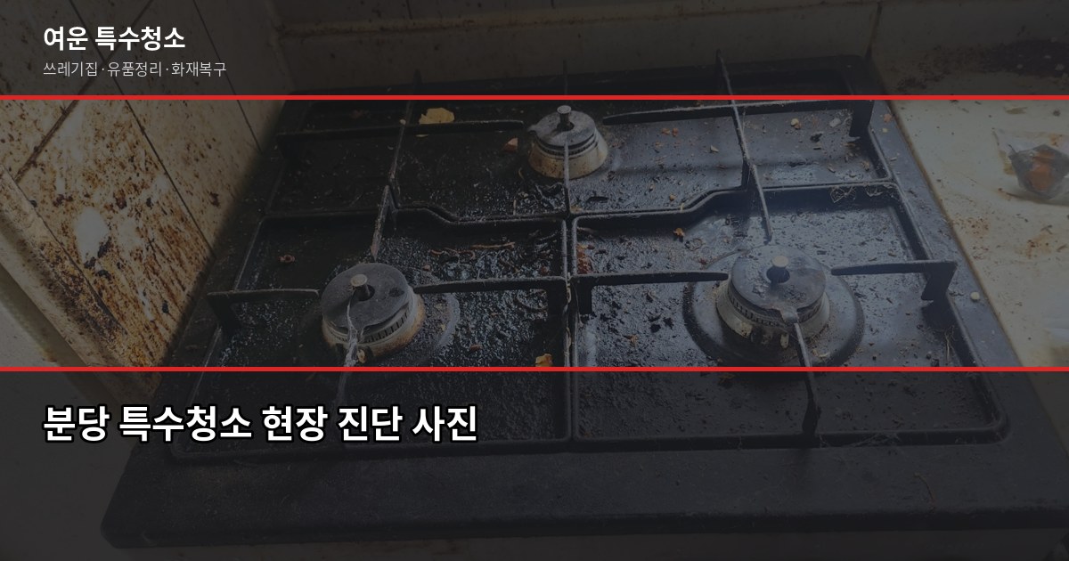분당 특수청소 비용, 현장 상황별 정확한 견적 받는 법 1