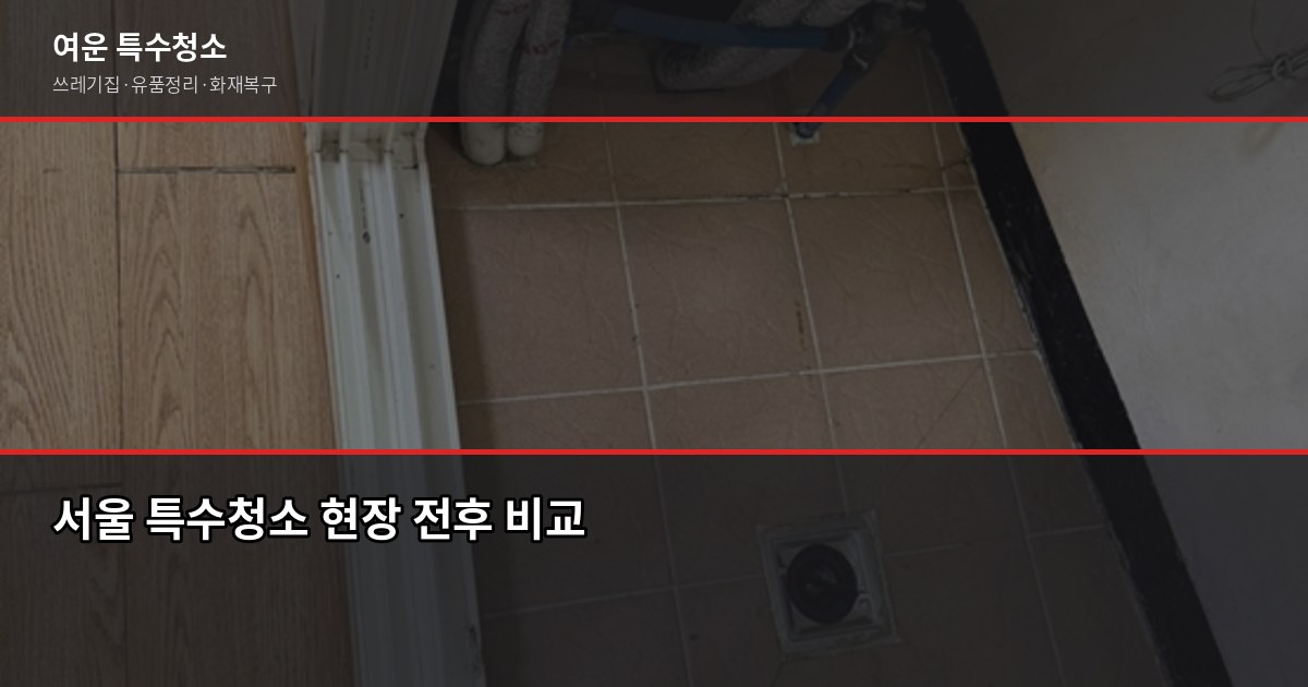 서울 특수청소 비용, 쓰레기집·고독사·유품정리 상황별 정리 1