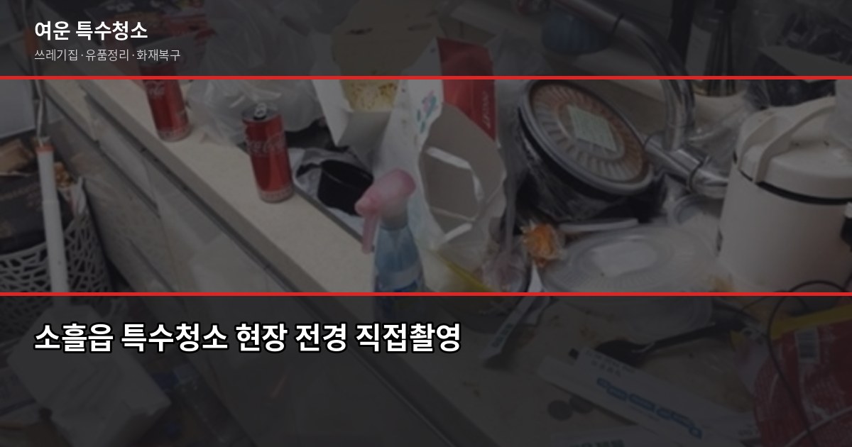 포천 소흘읍 특수청소 가격, 유형별로 얼마나 나올까 1