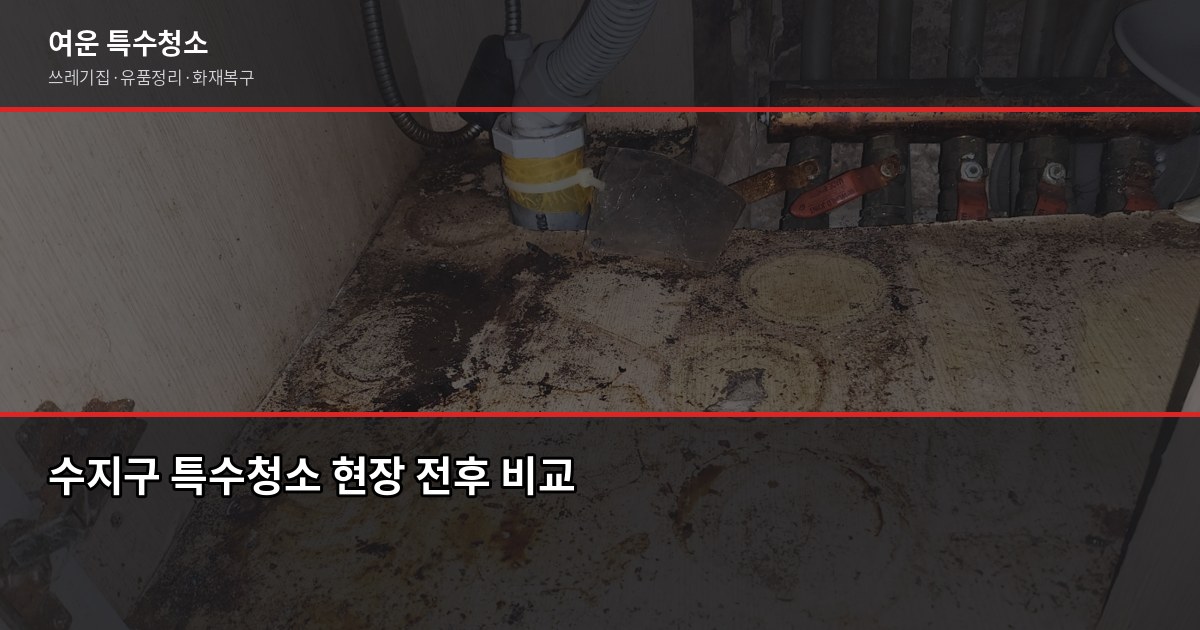 수지구 특수청소 예약, 어디서부터 시작해야 할까요 1