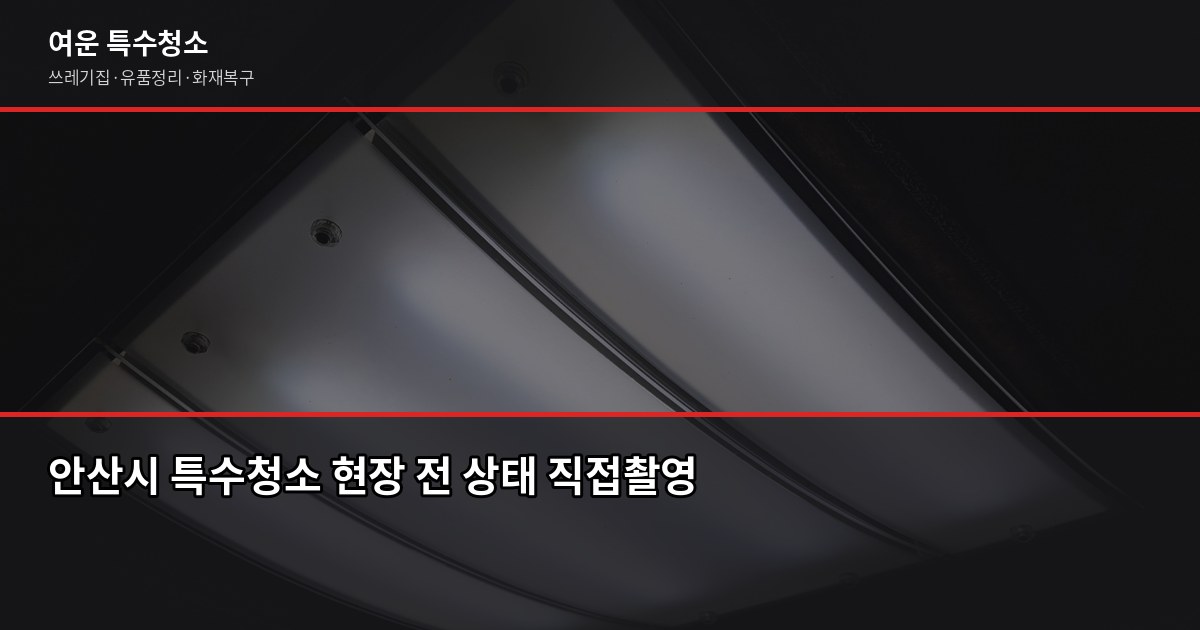안산시 특수청소, 쓰레기집·고독사·유품정리 비용과 진행 방식 1