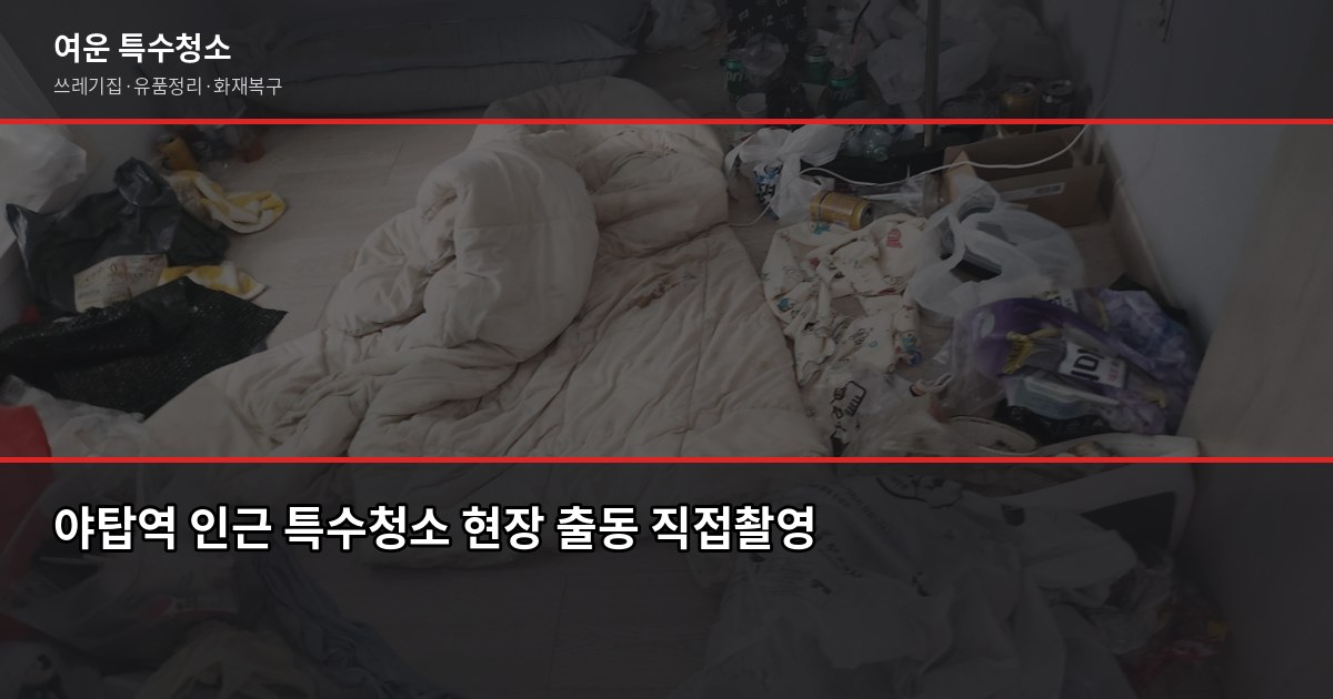 야탑역 특수청소 전화번호, 성남 분당 당일 출동 가능한 곳 찾는 법 1
