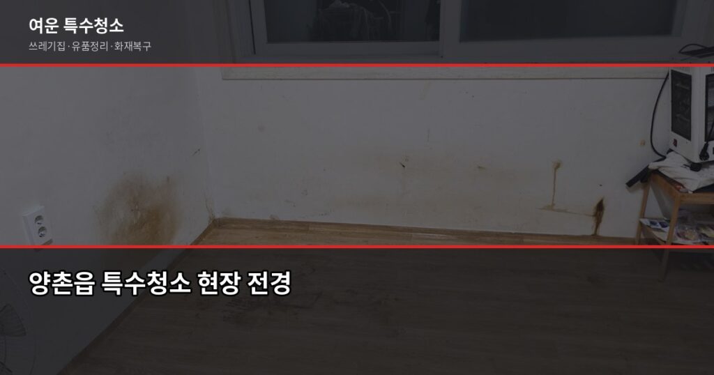 양촌읍 특수청소, 쓰레기집·고독사·유품정리 비용과 진행 방법 - 양촌읍 특수청소 현장 전경