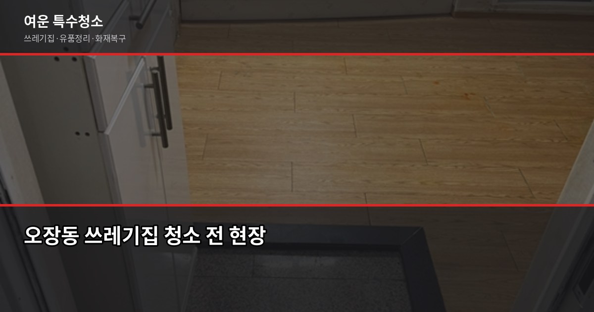 오장동 쓰레기집 청소 비용과 작업 흐름, 업체 고르는 법 1