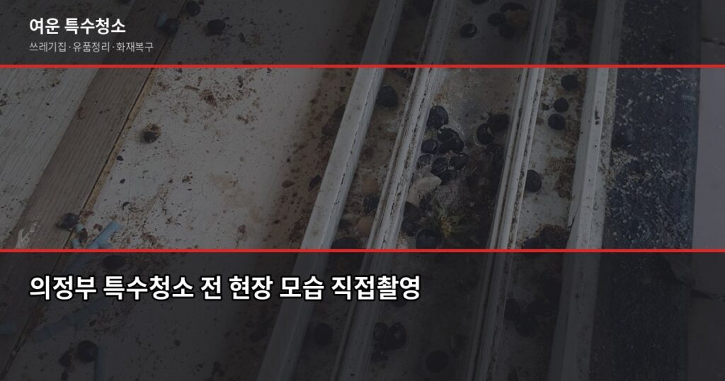 의정부시 특수청소 전문, 쓰레기집·고독사·유품정리 비용과 진행 방법 - 의정부 특수청소 전 현장 모습 직접촬영