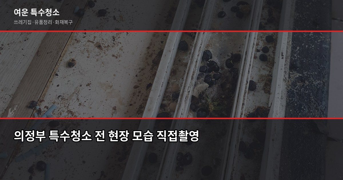 의정부시 특수청소 전문, 쓰레기집·고독사·유품정리 비용과 진행 방법 1