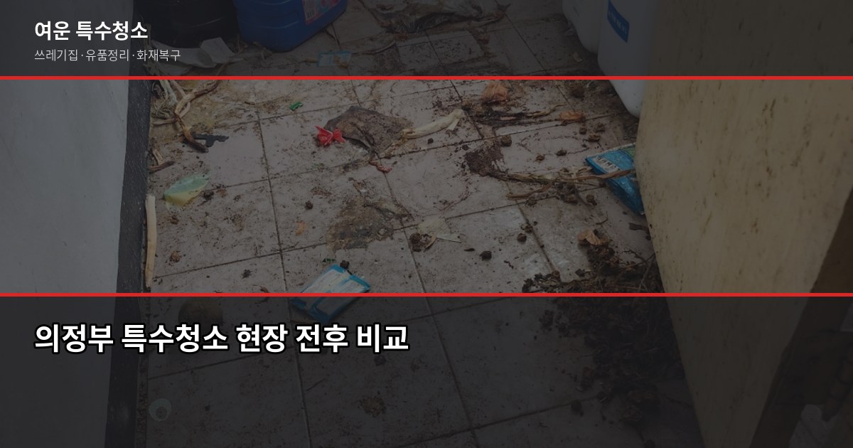 의정부 특수청소 예약, 당일 상담 가능한 방법과 절차 1