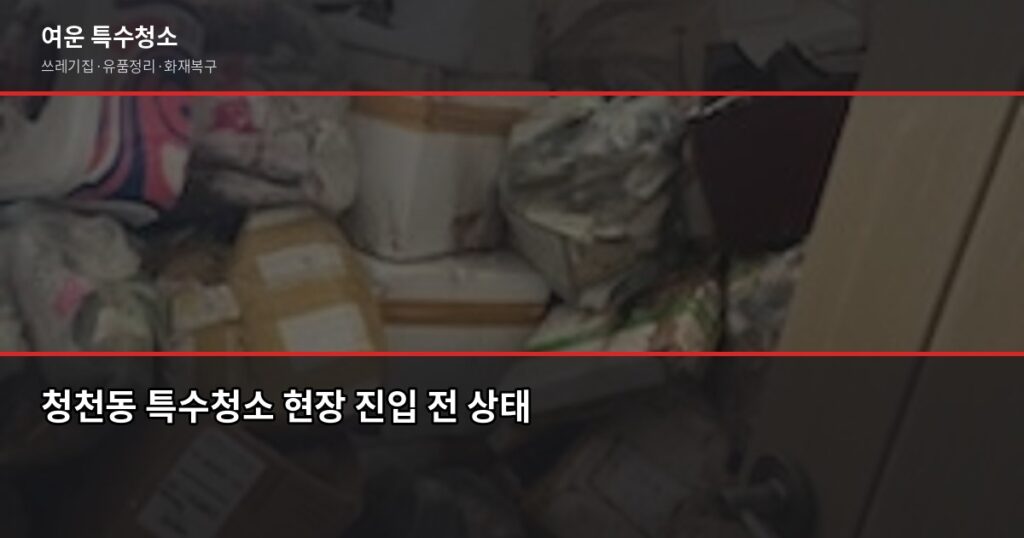 청천동 특수청소, 고독사·쓰레기집·유품정리 실제 진행 방식 - 청천동 특수청소 현장 진입 전 상태