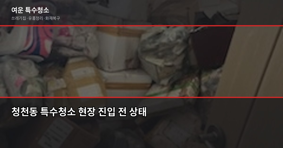 청천동 특수청소, 고독사·쓰레기집·유품정리 실제 진행 방식 1