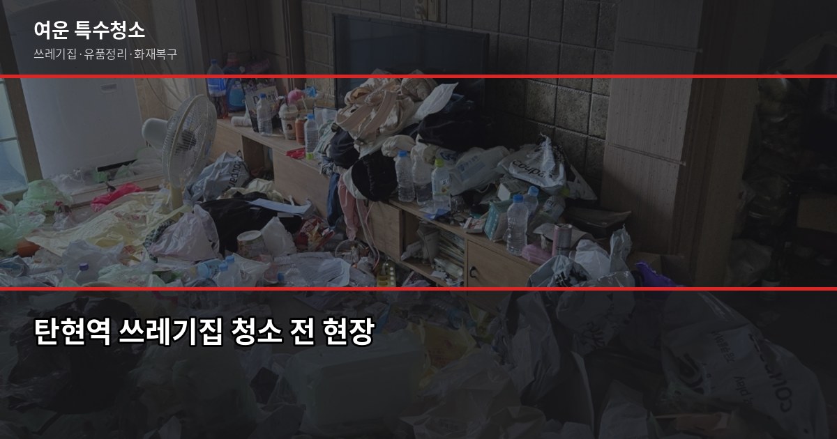 탄현역 쓰레기집 청소, 처음 연락부터 마무리까지 1