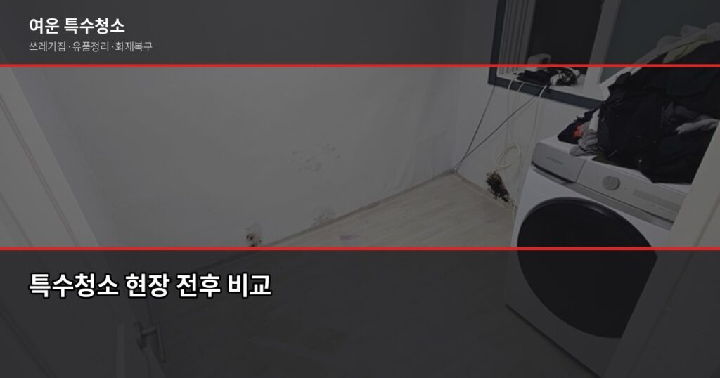 중랑구 특수청소 비용, 현장 상담 후 정확한 견적 받는 법 - 특수청소 현장 전후 비교