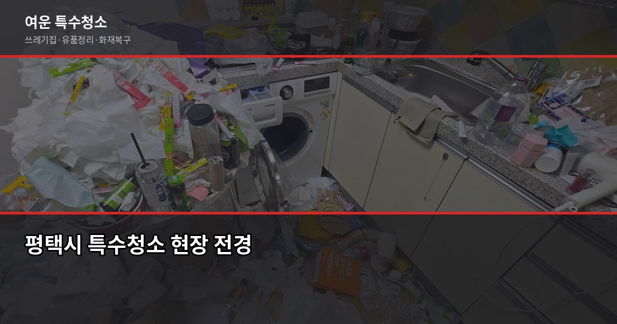 평택시 특수청소 예약 전 알아야 할 것들, 쓰레기집·고독사·유품정리 1