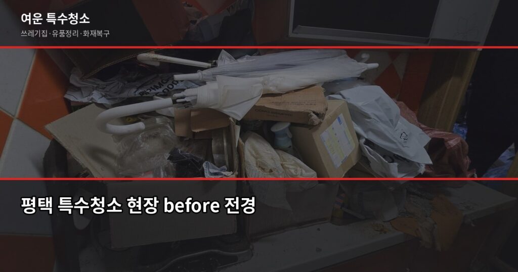 평택 특수청소, 쓰레기집·고독사·유품정리 비용과 진행 과정 - 평택 특수청소 현장 before 전경