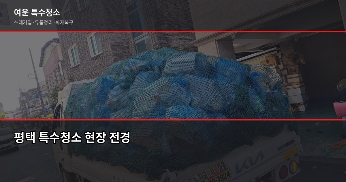 평택 특수청소 가격, 얼마부터 시작할까요? 1