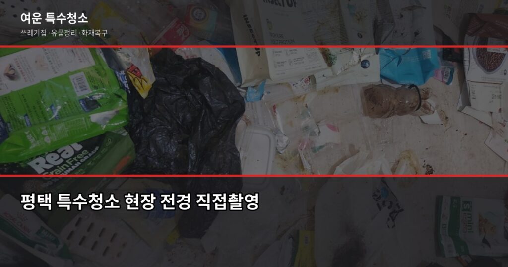 평택 특수청소 예약 전에 알아야 할 것들, 비용부터 절차까지 - 평택 특수청소 현장 전경 직접촬영