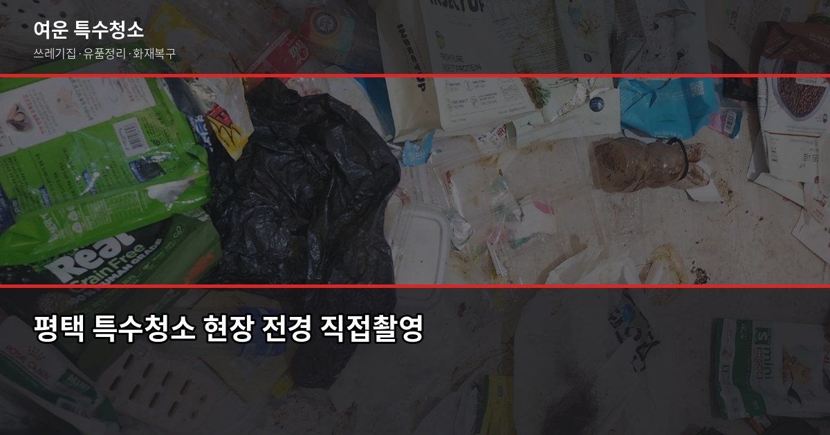 평택 특수청소 예약 전에 알아야 할 것들, 비용부터 절차까지 1