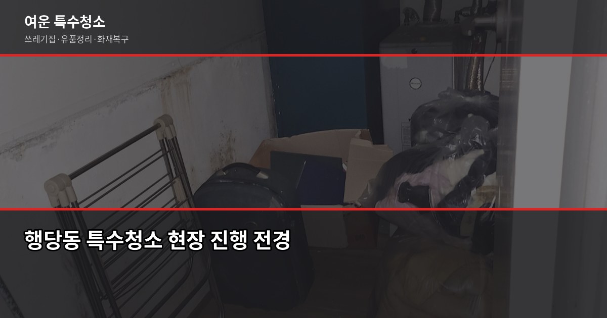 행당 특수청소 비용과 업체 고르는 법, 처음이라면 이것부터 1