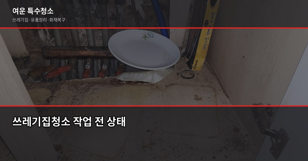 수지구 특수청소 예약, 어디서부터 시작해야 할까요 2