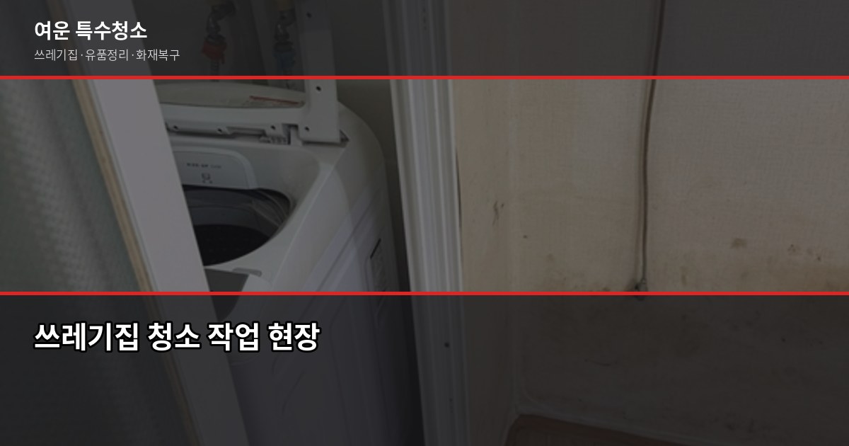 야탑역 특수청소, 현장 상태별 진행 흐름과 비용 안내 2