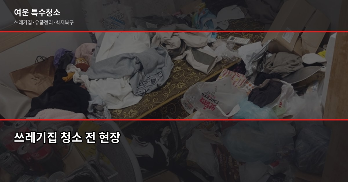 수원 특수청소 비용과 진행 방식, 처음이라면 이렇게 준비하세요 2