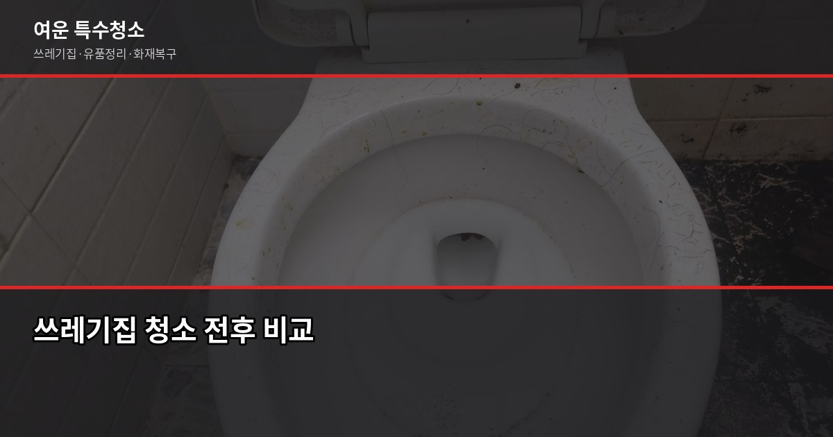 평택시 특수청소 전화번호와 상황별 대응 절차 2