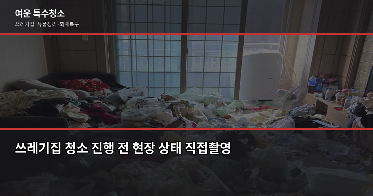 평택시 특수청소 추천, 쓰레기집·고독사·유품정리 실제 진행 방식 2