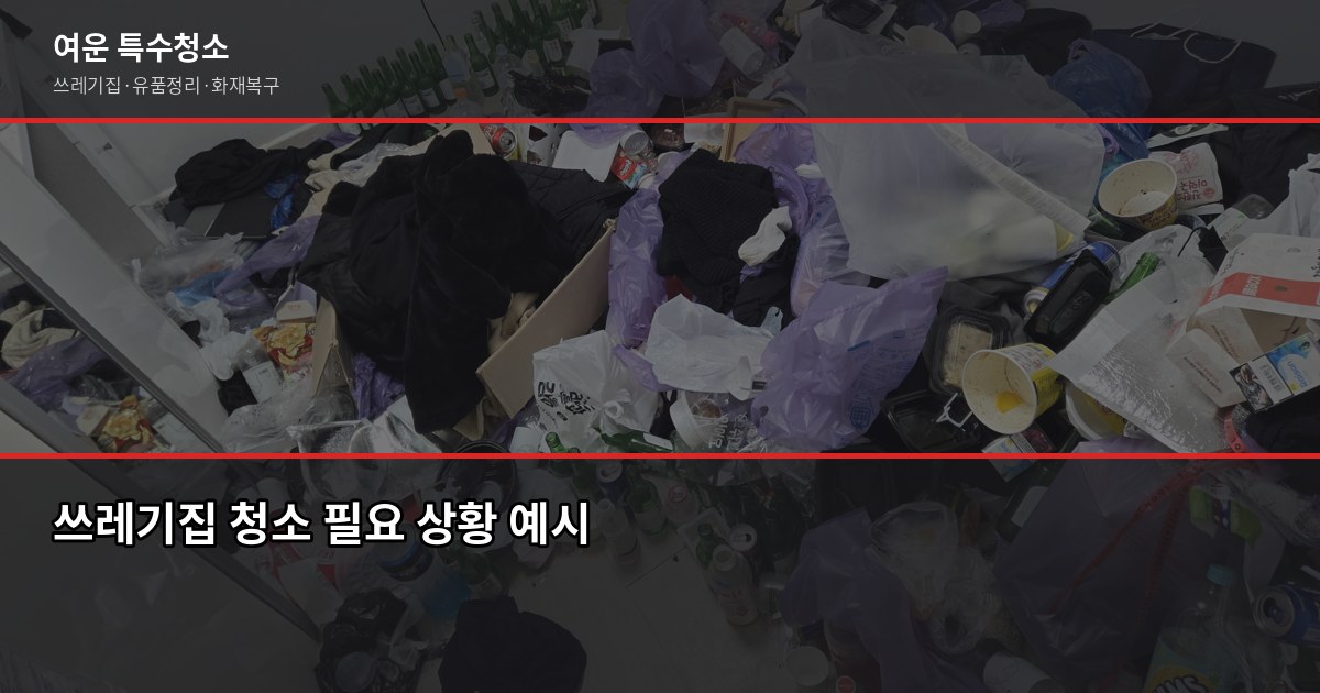 탄현역 쓰레기집 청소, 처음 연락부터 마무리까지 2