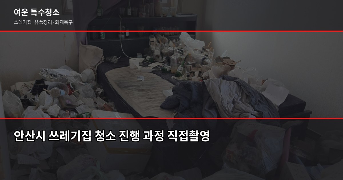 안산시 특수청소, 쓰레기집·고독사·유품정리 비용과 진행 방식 2
