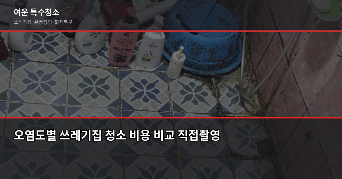 기흥구 쓰레기집 청소 비용과 업체 고르는 법, 후회 없으려면 2
