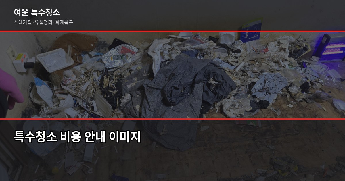 도봉구 특수청소 가격, 현장 보기 전에 알아야 할 것들 2