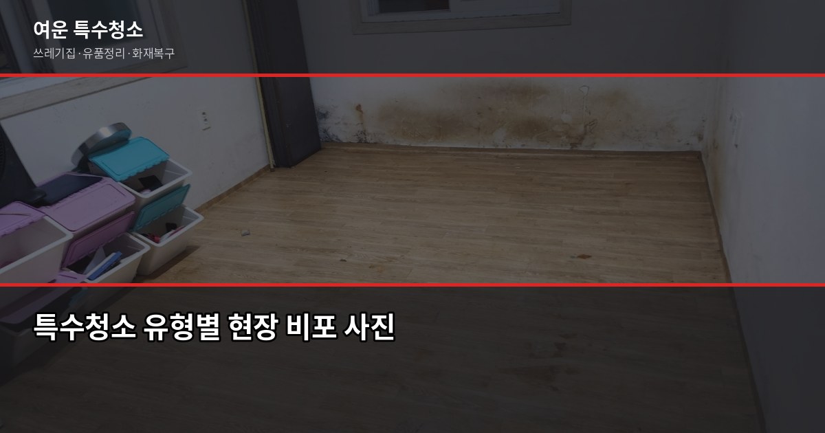 야탑역 특수청소 가격, 현장 상태에 따라 얼마나 다를까 2