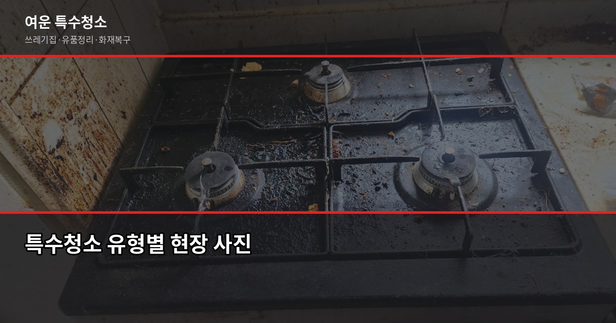 의정부 특수청소 예약, 당일 상담 가능한 방법과 절차 2